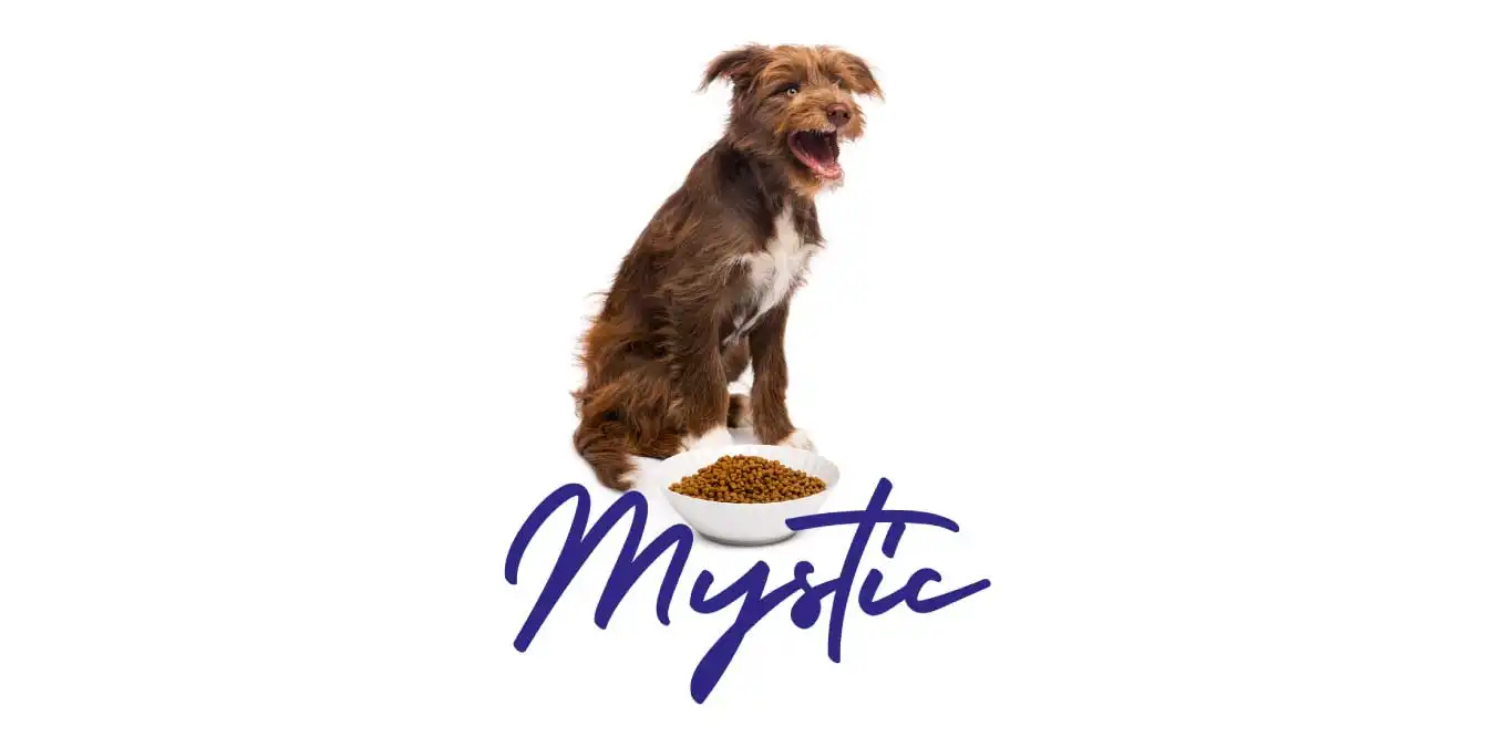 Mystic Köpek Maması Nasıl? Kullanıcı Yorumları & İncelemesi