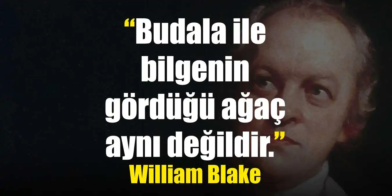 William Blake Sözleri | William Blake Alıntı Mesajları 2024