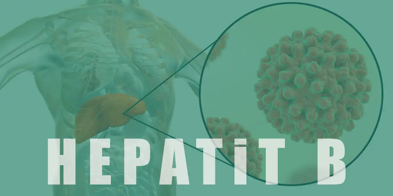 Hepatit B Nasıl Bulaşır? Belirtileri, Tedavisi ve Aşısı