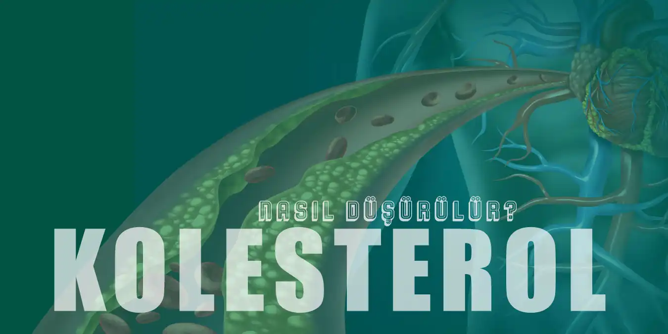 Kolesterol Nasıl Düşürülür? Yükselten ve Düşüren Besinler