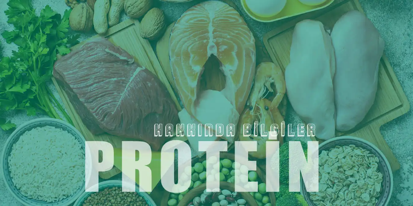 Protein Hakkında Bilinmesi Gereken 25 Önemli Bilgi