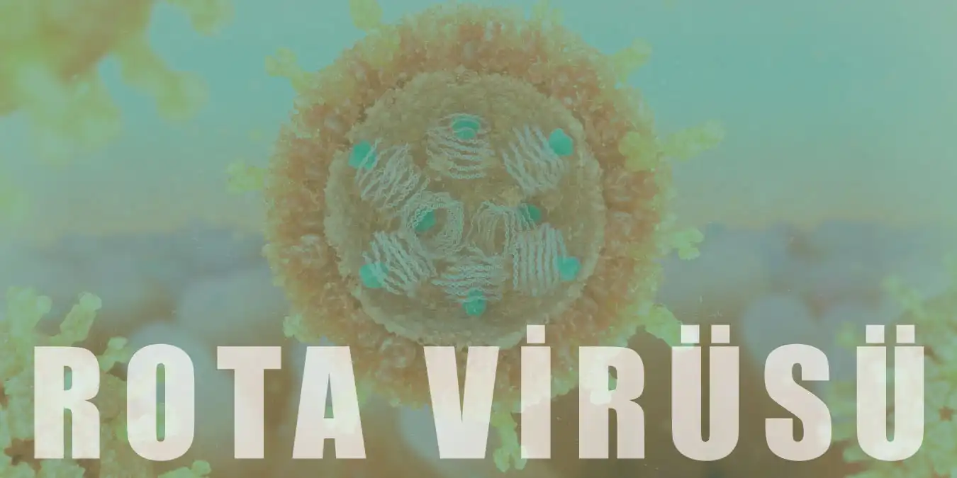 Rota Virüsü Nedir? Belirtileri Nelerdir ve Nasıl Geçer?