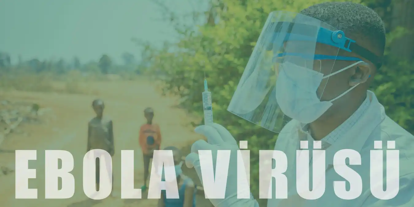 Ebola Virüsü Nedir? Belirtileri ve Tedavisi