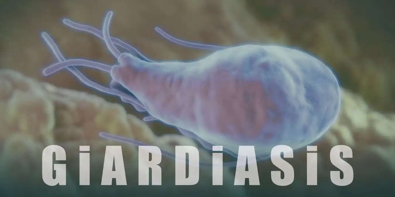 Giardiasis Hastalığı Nedir, Belirti ve Tedavisi Nelerdir?