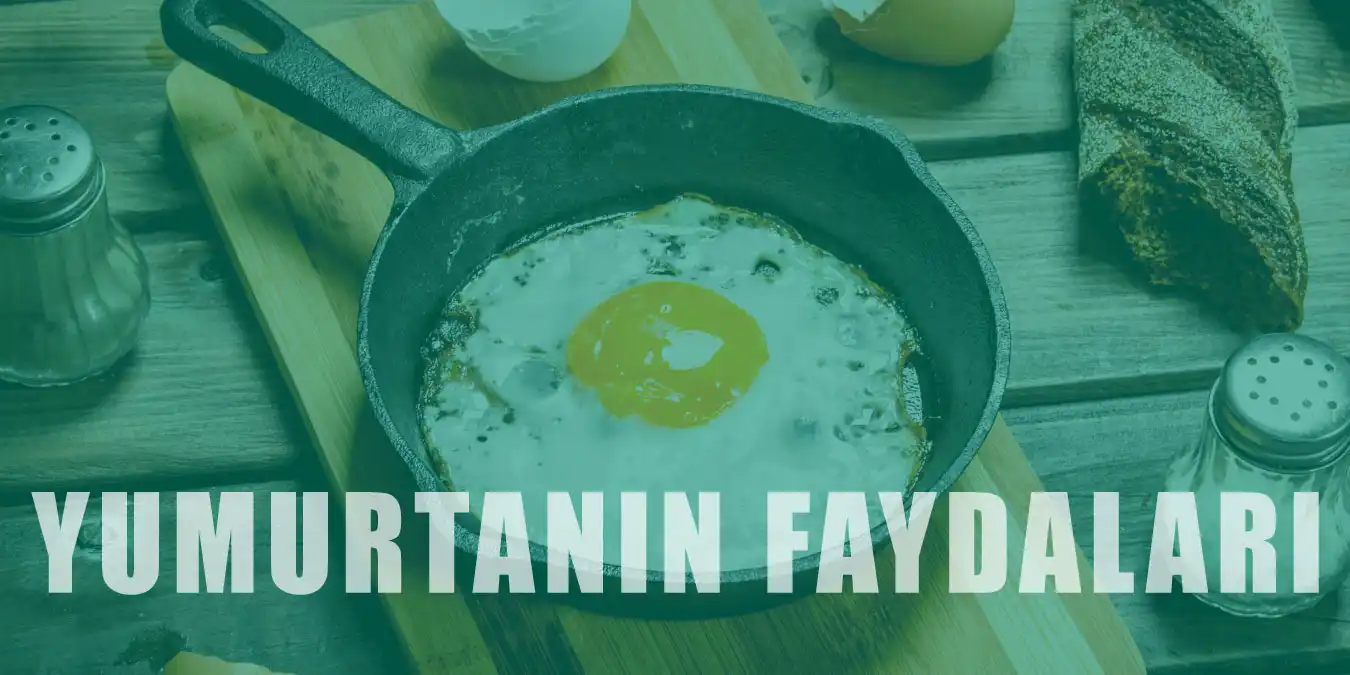 Kahvaltıların Vazgeçilmezi Yumurtanın Faydaları ve Zararları
