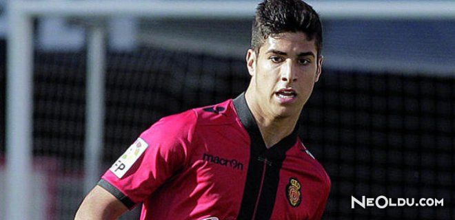 Marca Asensio Kimdir