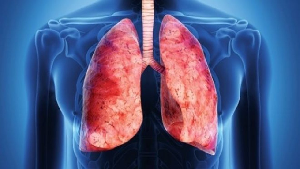 Akciğer Temizliği İçin Bitkisel Yöntemler