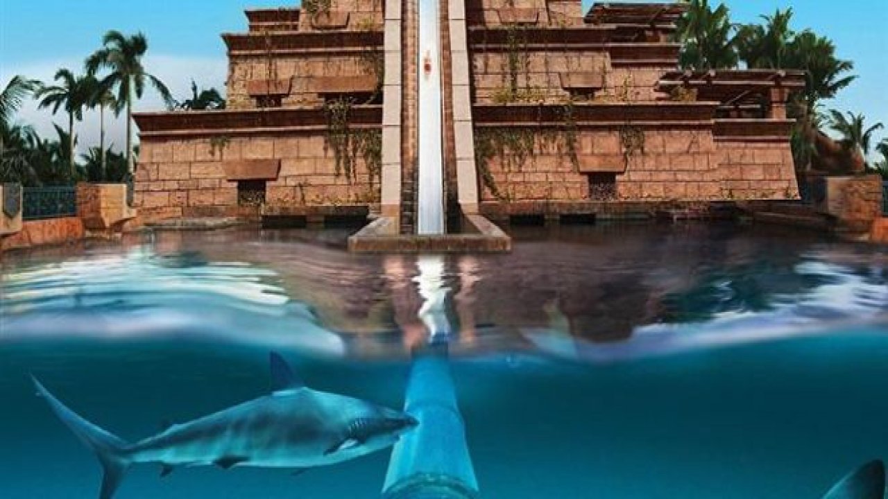 Dünya'nın En İyi Aqua Parkları
