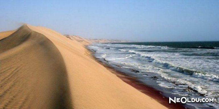 Nambiya İskelet Sahili: Cehennem Kıyısı