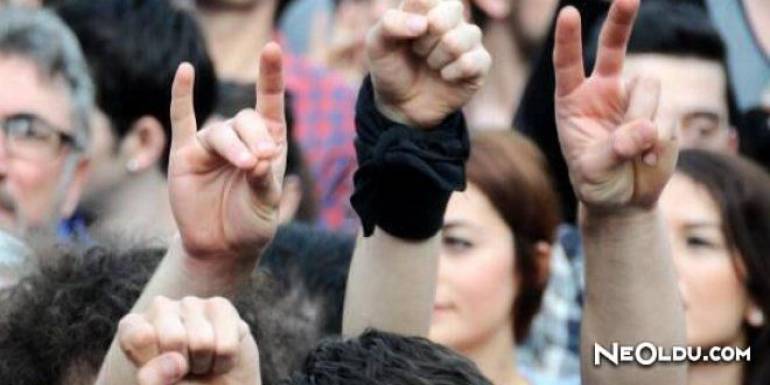 Türkiye' de Kullanılan Siyasi Parti İşaretleri ve Anlamları