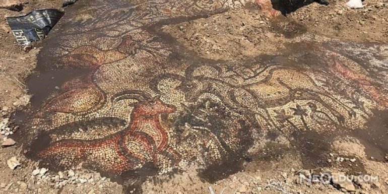 Adıyaman'da 1600 Yıllık Mozaik Bulundu