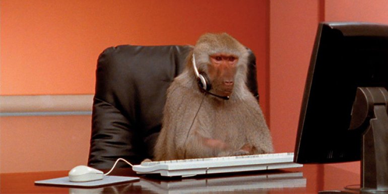 İzlenme Rekorları Kıran Ofis Maymunu