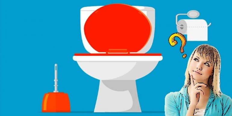 Alafranga Tuvaletin Zararları ve Faydaları Hakkında Bilgi