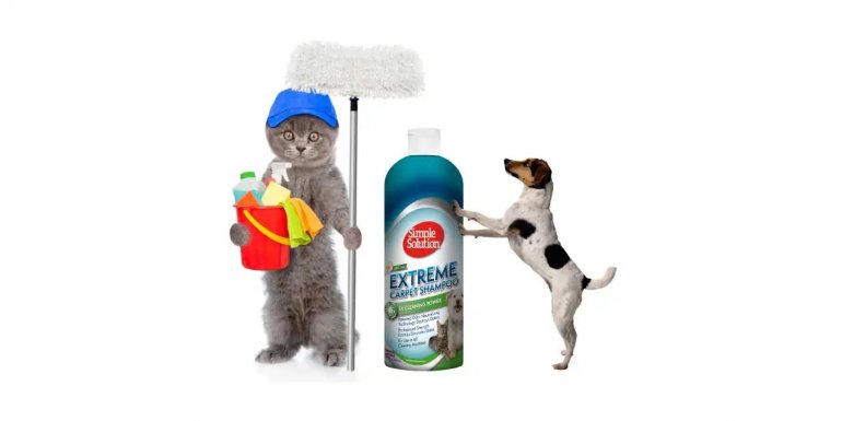 Simple Kedi ve Köpek Koku - Leke Giderici Temizlik Ürünleri