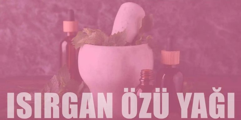 Cansız Saçlara Elveda: Isırgan Özü Yağlı En İyi 10 Saç Ürünü