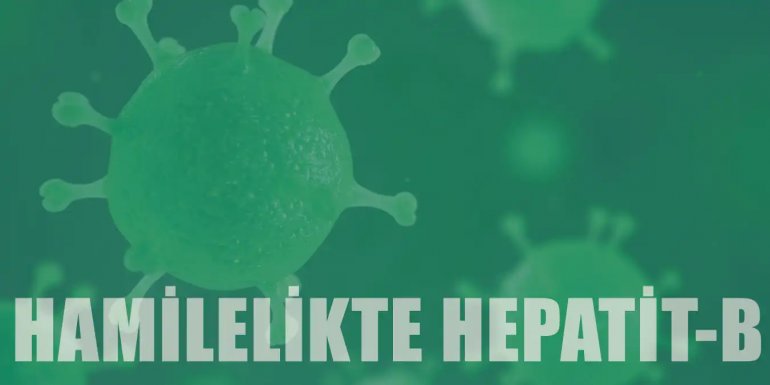 Gebelikte Hepatit B Nasıl Bulaşır? Aşısı ve Tedavisi