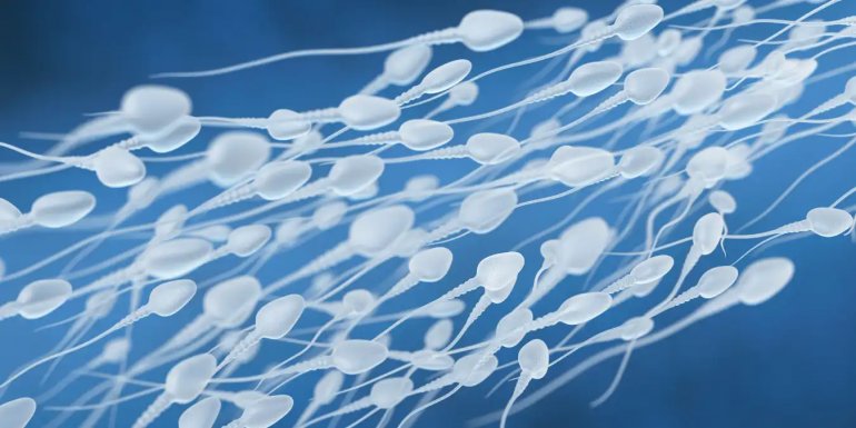 Rüyada Sperm Görmek Ne Demek?