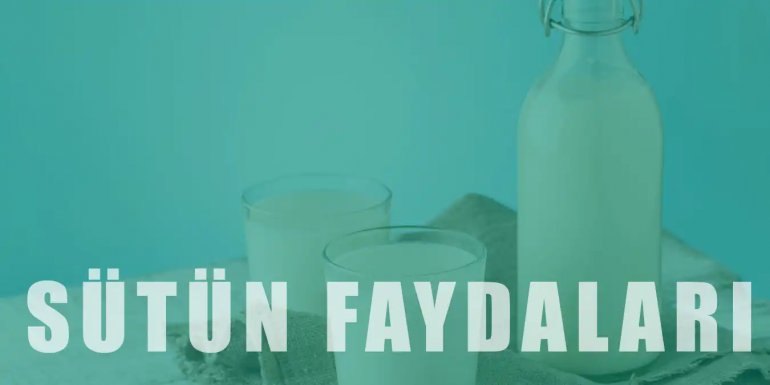 Kalsiyum ve Protein Kaynağı Sütün 10 Faydası