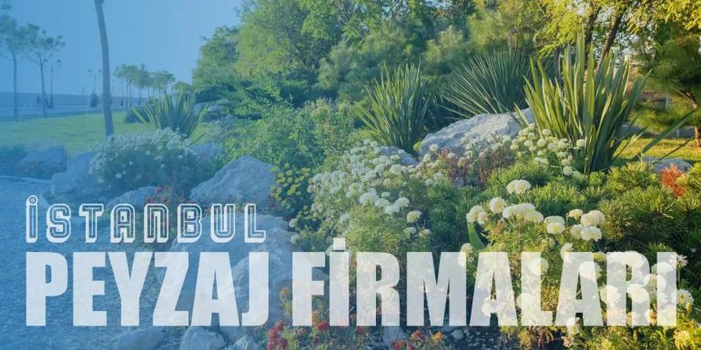 Sanatın Doğayla Buluştuğu 5 En İyi İstanbul Peyzaj Firması