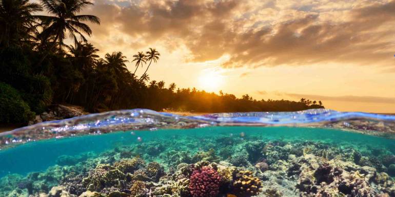 Dünyadaki En Büyük Mercan Resifleri