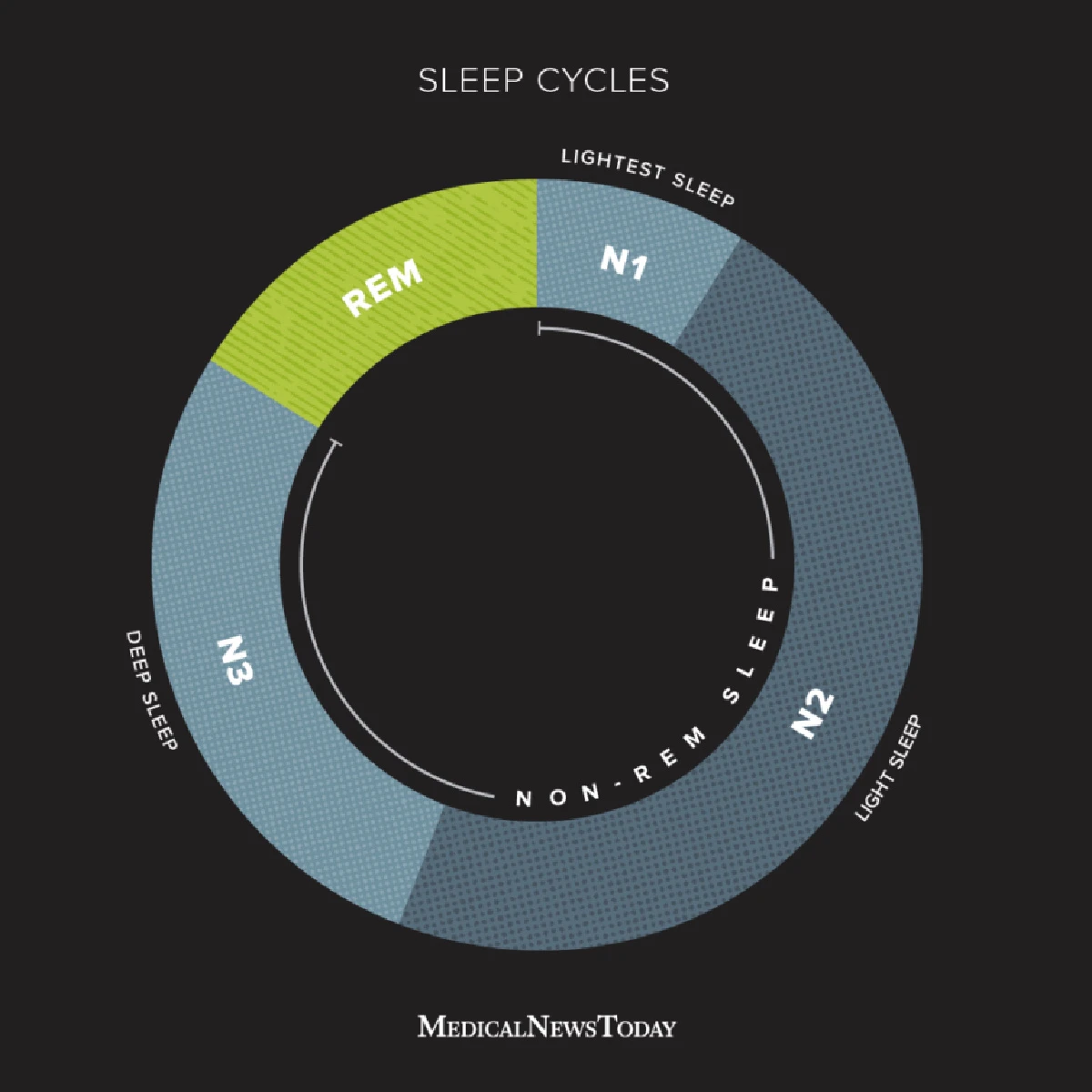 Hayatınızı Kolaylaştıracak 10 Yapay Zeka Aracı Sleep Cycle