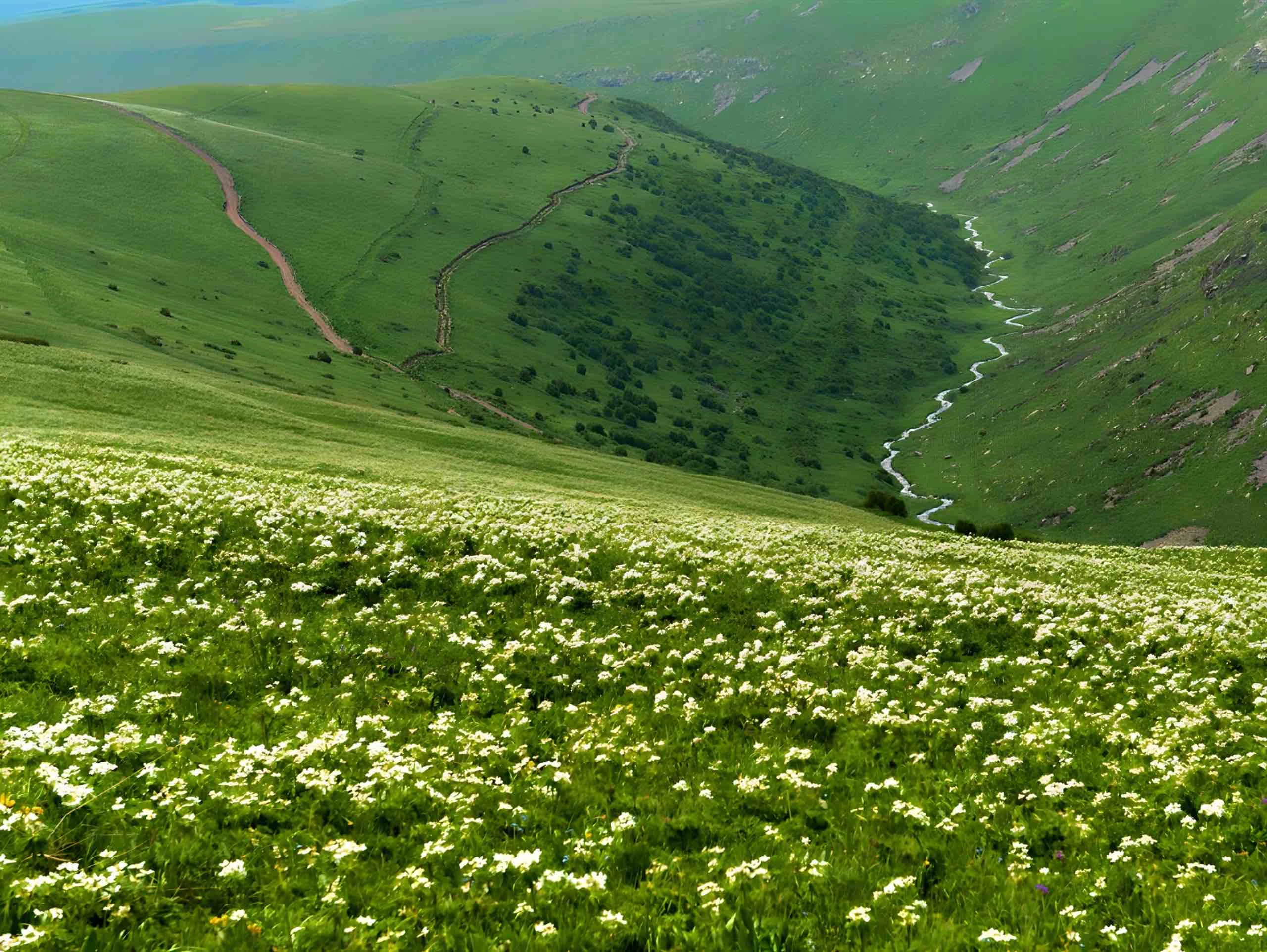 Ardahan Yöresine Ait En Güzel Türküler ve Sözleri