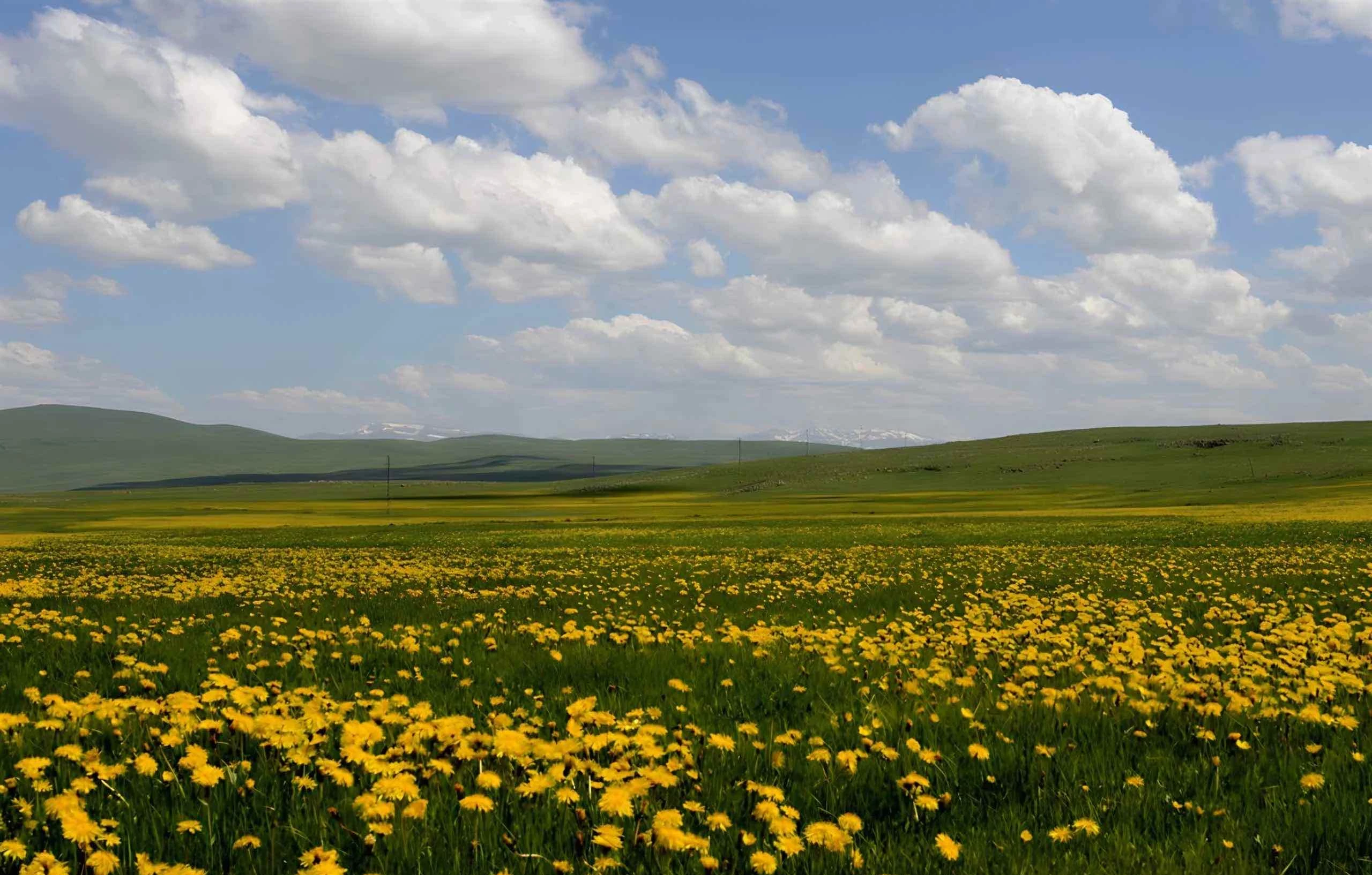 Ardahan Yöresine Ait En Güzel Türküler ve Sözleri